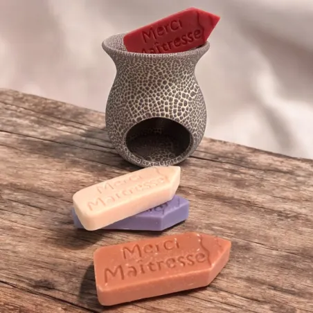 Un brûle parfum couleur aléatoire + 4 fondants crayons parfumés "Merci maitresse"