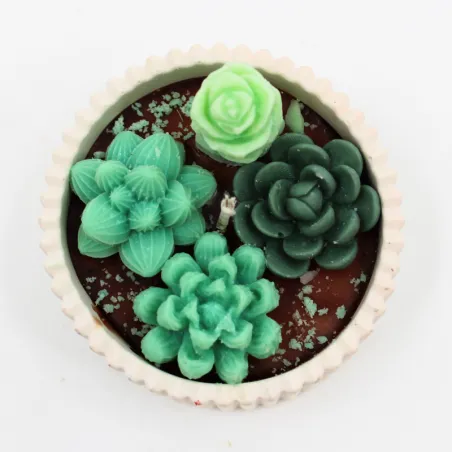 Bougie parfumée jardin cactus en cire végétale