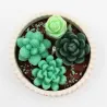 Bougie parfumée jardin cactus en cire végétale