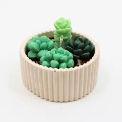 Bougie parfumée jardin cactus en cire végétale