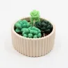 Bougie parfumée jardin cactus en cire végétale