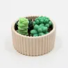 Bougie parfumée jardin cactus en cire végétale