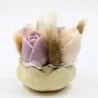 Mini bouquet de fondants tulipes parfumées avec contenant en jesmonite