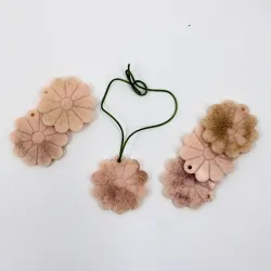 Lot de 6 suspensions parfumées