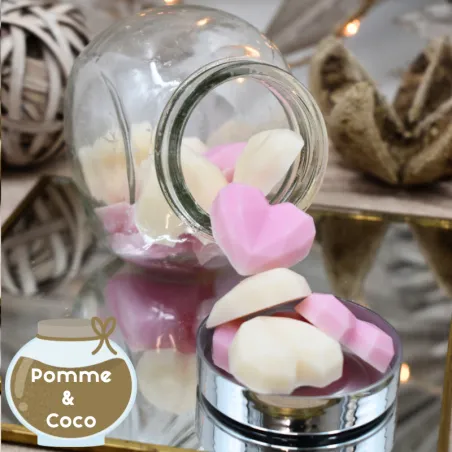 Pot de 15 minis fondants coeurs pomme d’amour et coco