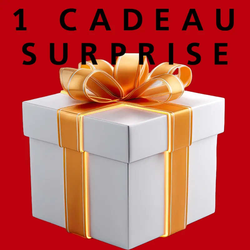 Un cadeau surprise (1 par commande)