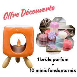 Offre Découverte brûle parfum orange + 10 minis fondants parfums mix