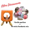 Offre Découverte brûle parfum orange + 10 minis fondants parfums mix