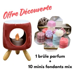 Offre Découverte brûle parfum rouge + 10 minis fondants parfums mix