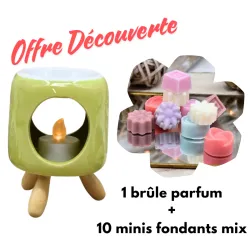 Offre Découverte brûle parfum vert + 10 minis fondants parfums mix