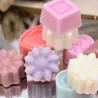 Fondant parfumés mixte lot de 10